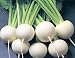 Turnip Japanese Hakurei Seeds 2 Grams