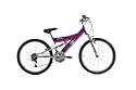 Triumph (By Raleigh) Milano - Girls 24" Full Suspension MTB - Pink