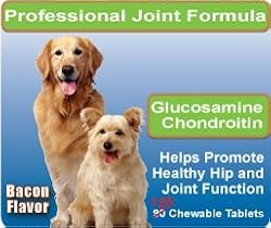 Glucosamine Chondroitin for Dogs - 90 + 30 Free - 120 Total Chewable Tablets