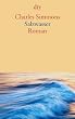 Salzwasser: Roman