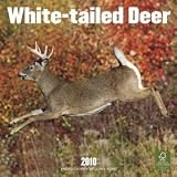 White-Tailed Deer 2010 Standard Wall Calendar. Publisher: Browntrout