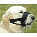 Nylon Loop Muzzle Inhibits Biting Dog Training L19281