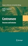 Centromere: Structure and Evolution (Progress in Molecular and Subcellular Biology)