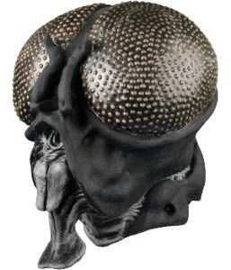 Buzz Fly Insect Full Mask Adult Accessory