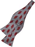 Arkansas Bow Tie - University of Arkansas Gray Hand-Tied Bow Tie with Razorback Logo
