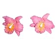BUY : FLOWERS OF HAWAII PIERCED EARRINGS
