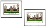 Tennessee Volunteers - Knoxville - Framed Undergrad Lithograph