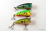 Lot of 3 Topwater Fishing Lure Chuggers/Poppers in 3 Colors: Firetiger, Tennese Shad, and Bluegill