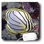 Tropical Fish - Butterfly Fish - Mouse Pads