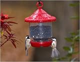 Clingers Bird Feeder (Pick a Color=Red)