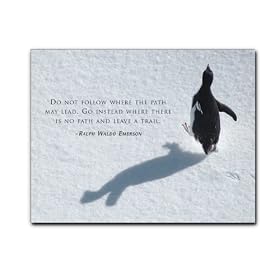 Quotation Postcards - Trail Maker, box of 50 postcards