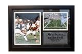 Chicago Bears Gale Sayers 12x18 Photo Stat Frame - Framed NFL Photos, Plaques and Collages