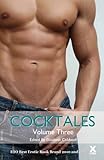 Cocktales : a collection of eight erotic stories