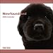 Newfoundland The Dog 2009 Wall Calendar