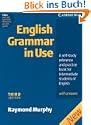 English Grammar in Use. Intermediate to Upper Intermediate