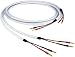 Chord Carnival SilverScreen - 3m TERMINATED PAIR