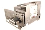 Replacement Lamp for Panasonic PT-61DLX26 PT-61DLX76 PT-56DLX76 TVs