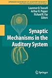 Synaptic mechanisms in the auditory system