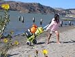 Beach Folding Cart - Mini by Wheeleez
