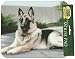 All Products : German Shepherd on Porch Designer Mousepad