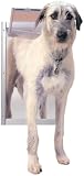  : Petsafe AK50-201-11 Classic Pet Door-X-Large Satin