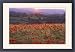 Framed Prints of Sun illuminates rolling landscape of fields and woodland with foreground of from Ardea Wildlife Pets