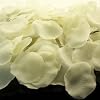 Ivory Silk Rose Petals ~ 200 Petals
