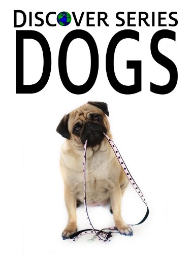 Dogs: Discover Series Picture Book for Kids (Kindle Kids