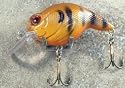 JLVLures Shallow Crankbait Bluegill : Diver Lures JLV Freshwater Smallmouth Steelhead Pike Salmon Trout Perch Whiper Mid Depth Walleye Casting Bass Hook Treble Bronze Boat Dock Brook Bay Little Stump River Trolling Weed Surface Topwater Shad