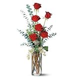 Half-Dozen Classic Red Roses