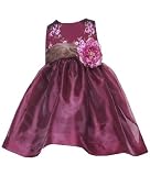 Rare Editions Floral Embroidered Sheer Satin Dress, Burgundy, 18
Months