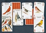 Backyard Birds Standard Poker Playing Card Deck featuring all of yoru favorite garden birds from Cardinal, to Owl and many more