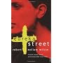 Eureka Street de Robert McLiam Wilson
