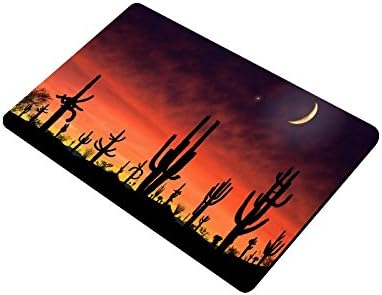 Desert Cactus Cacti Trees Crescent Moon Night Durable Indoor/Outdoor Doormats 23.6"(L) x 15.7"(W) 3/16" Thickness