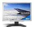 Acer AL2423W 61 cm (24 Zoll) TFT Monitor, DVI / analog, silber (Kontrast 1000:1, 6 ms Reaktionszeit)