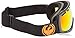Dragon Alliance Rogue Ski Goggles