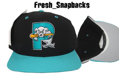 portland sea dogs vintage hat