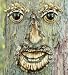Mr. Tree Face