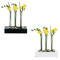 Inspiration 3-Tube Vase Collection