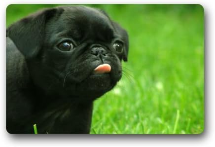 Door Mat Pug Dog Durable Heat-23.6"(L)x15.7"(W) 3/16" Doormat