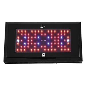 240W LED Grow Light Lighthouse Hydro BlackStar 240 Watts Flowering 240W LED Grow Light Lighthouse Hydro BlackStar 240 Watts Flowering