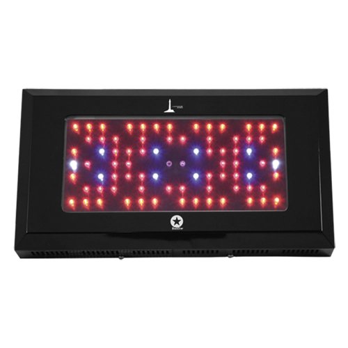 240W LED Grow Light Lighthouse Hydro BlackStar 240 Watts Flowering