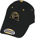 Pittsburgh Panthers Child One-Fit Hat