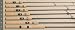 St. Croix ACS120MHMF2 Avid Carp Rod