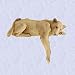 Linda the lazy lioness lion statue home yard sculpture