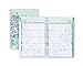 Blue Sky Lianne Academic Year 16/17 Weekly/Monthly 5 x 8 Planner
