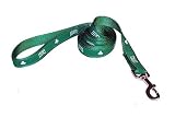 Dog Leash - Boston Celtics - 6' L x 5/8" W
