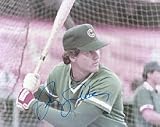 Ryne Sandberg Autographed / Signed Chicago Cubs Baseball 8x10 Photo