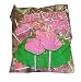 Big Slice Lollipops Strawberry Flavor