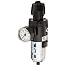 Dixon CB6-02MG Manual Drain Wilkerson Compact Filter/Regulator with Transparent Bowl and Guard, 1/4" Size, 64 SCFM Flow, 150 psig Pressure